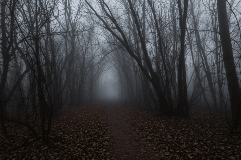 The Disappearances